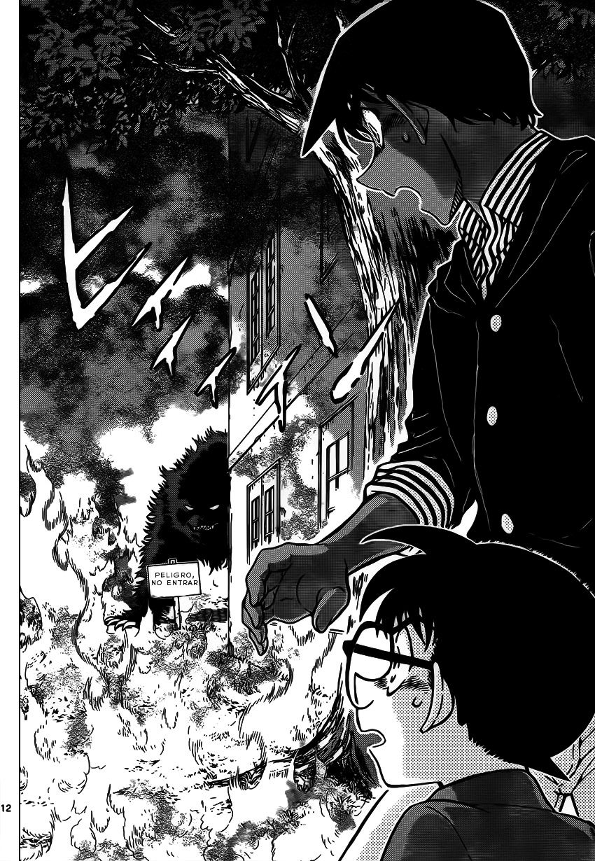 Detective Conan Capitulo 959: La noche del berrido del Nue página 13