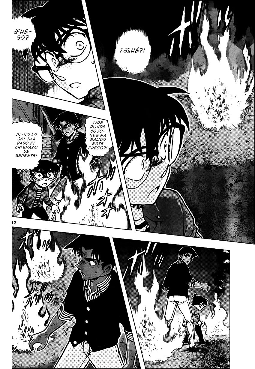 Detective Conan Capitulo 960: La cicatriz del Nue página 13