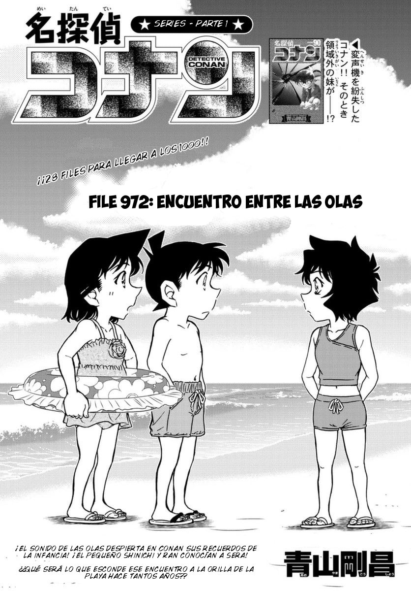 Detective Conan Capitulo 972: Encuentro entre las olas página 2