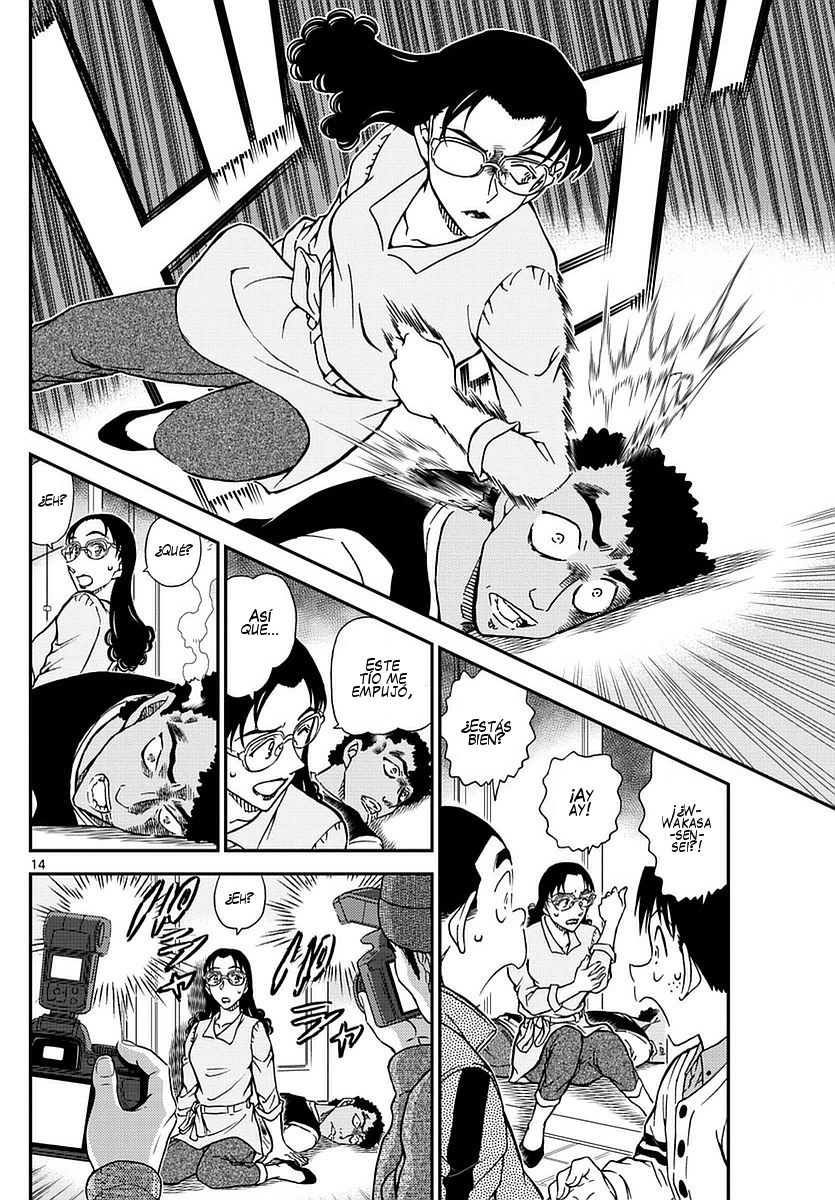 Detective Conan Capitulo 980: Sentimientos puramente blancos página 15