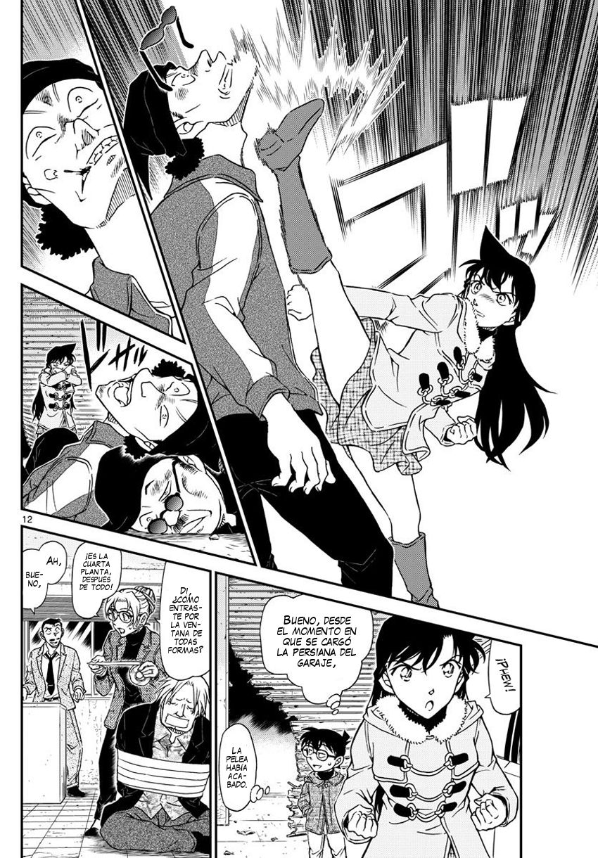 Detective Conan Capitulo 986: El SOS de Eri página 13