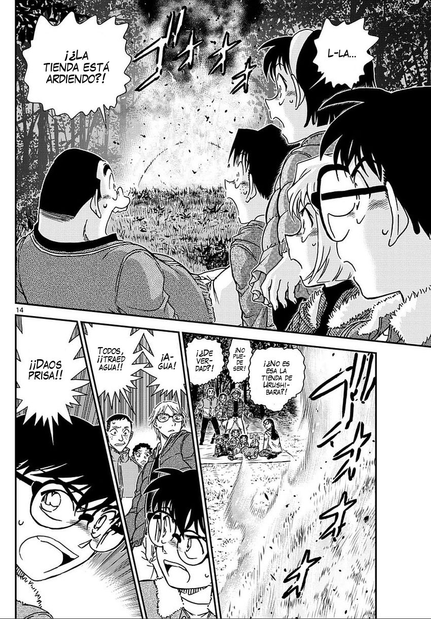 Detective Conan Capitulo 987: Aviso página 15
