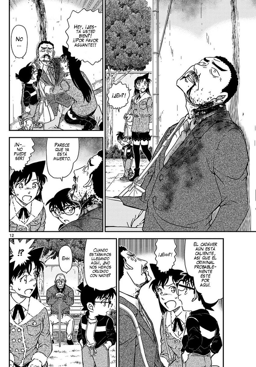 Detective Conan Capitulo 990: Hoy, me vengaré página 13