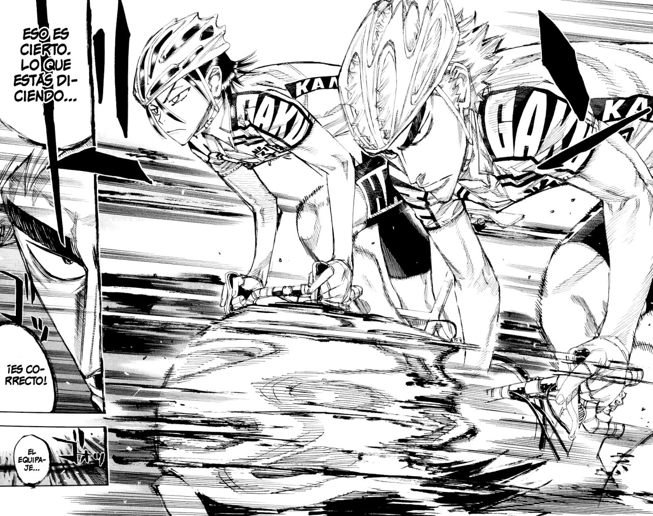 Yowamushi Pedal Capitulo 133: La finalidad de los sprinters página 17