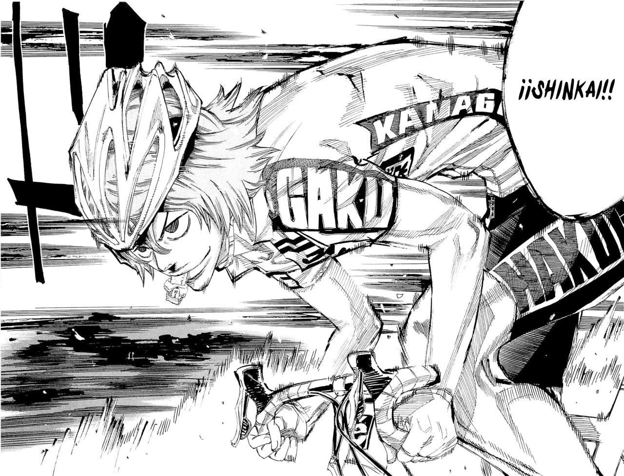 Yowamushi Pedal Capitulo 141: Fase 49 página 17