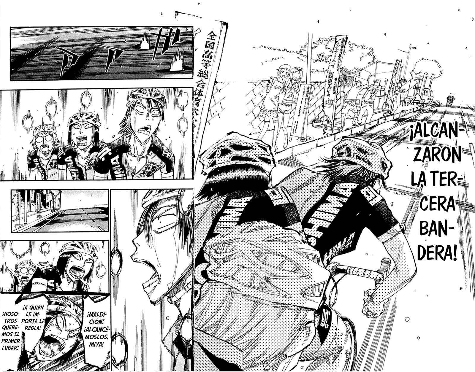 Yowamushi Pedal Capitulo 176: El dominio que espera delante página 10