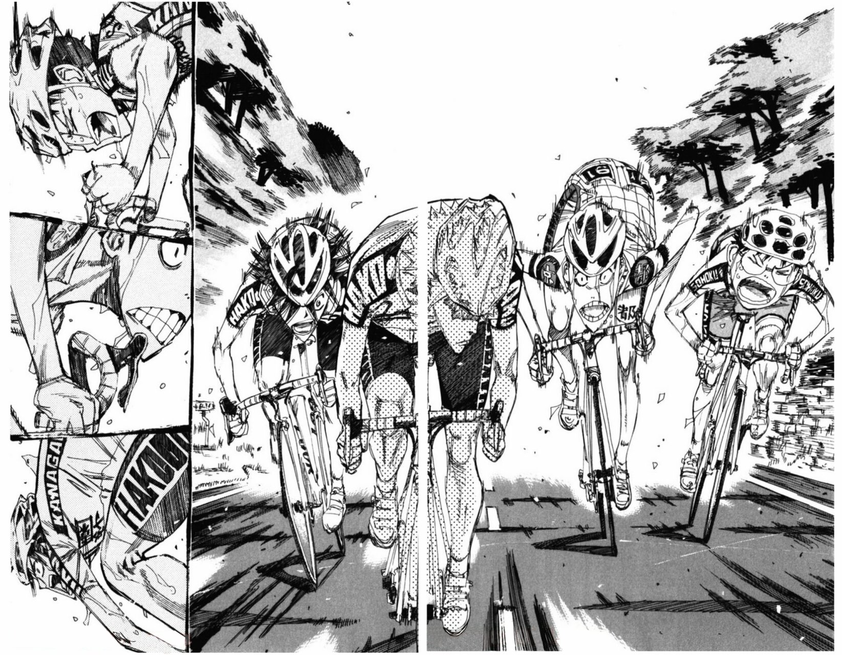 Yowamushi Pedal Capitulo 207: El fin página 13