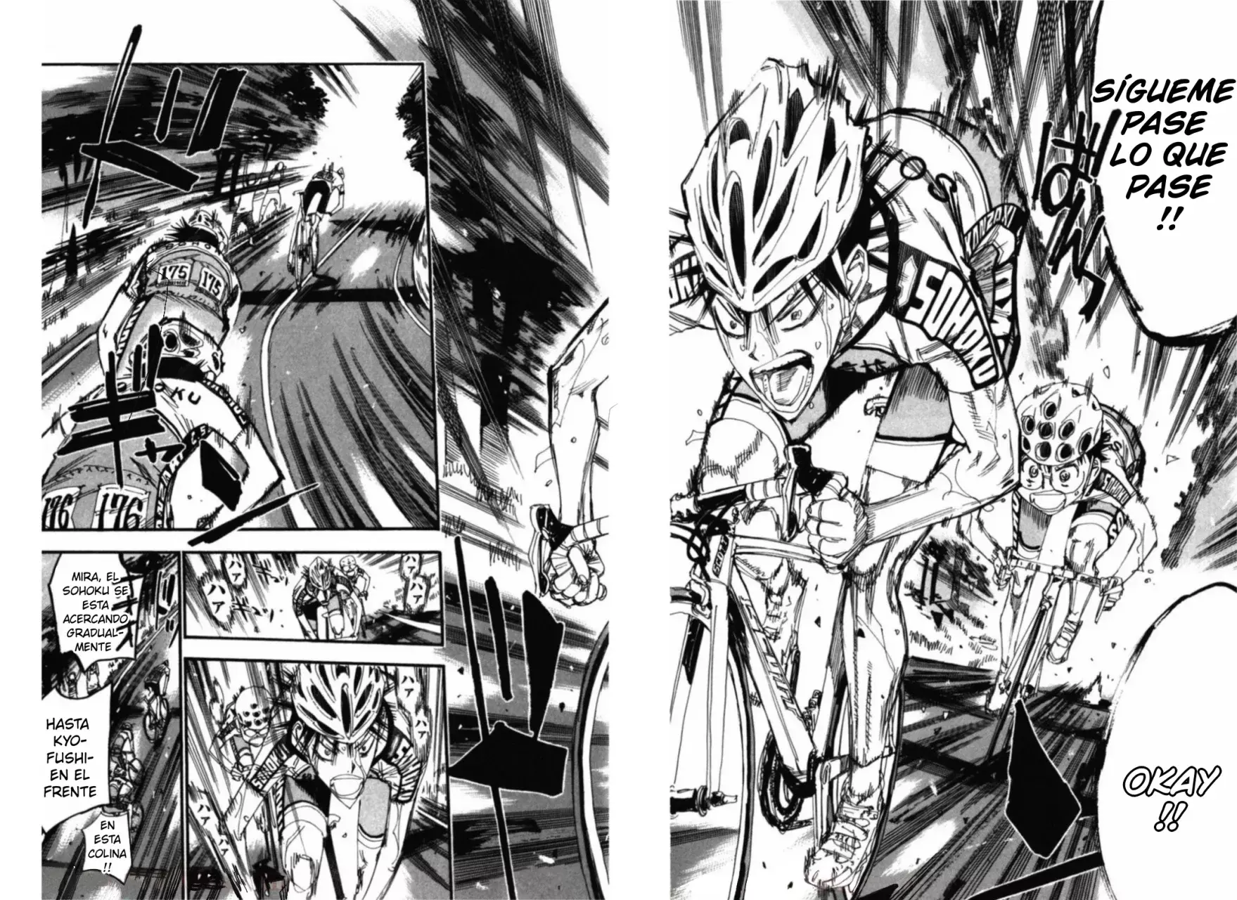 Yowamushi Pedal Capitulo 210: El vínculo de ambos página 9