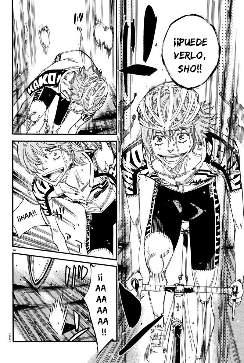 Yowamushi Pedal Capitulo 476: Gran aclamación página 13
