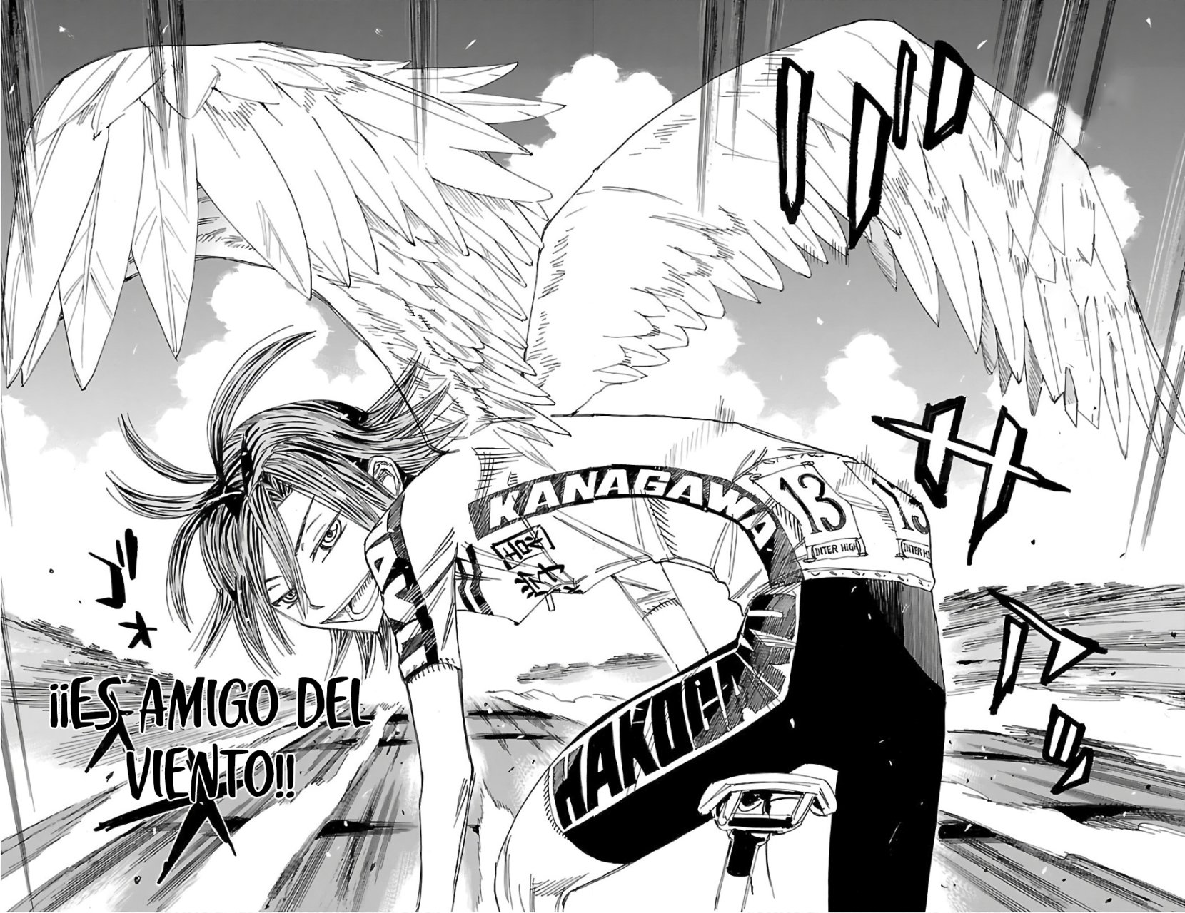 Yowamushi Pedal Capitulo 491: ¡¡La apuesta ganadora!! página 13