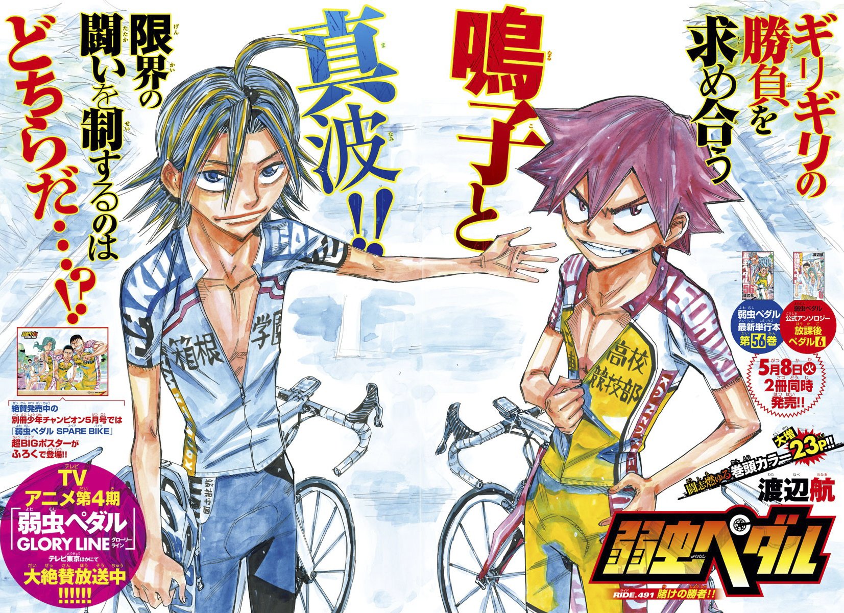 Yowamushi Pedal Capitulo 491: ¡¡La apuesta ganadora!! página 2