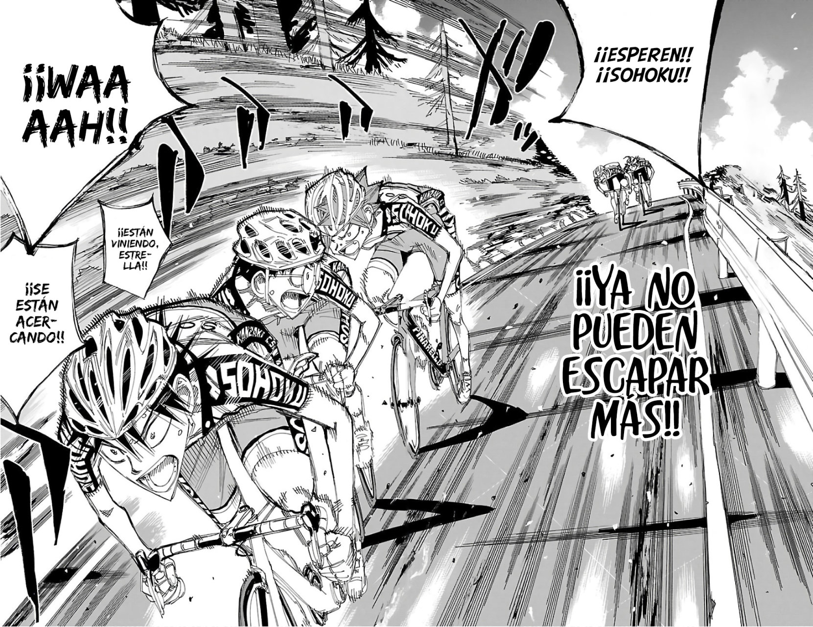 Yowamushi Pedal Capitulo 494: ¡Batalla! ¡¡Cuesta abajo!! página 14