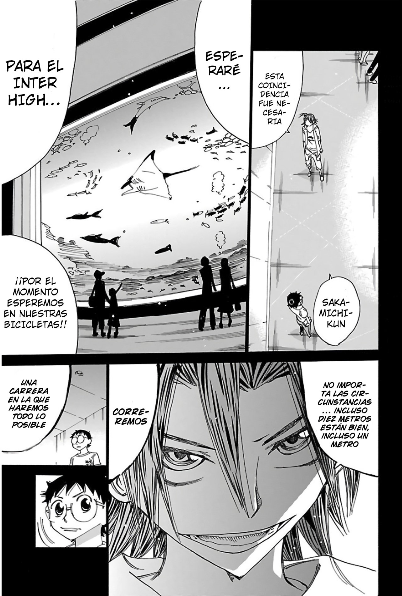 Yowamushi Pedal Capitulo 517: Acuario en Mayo. página 15