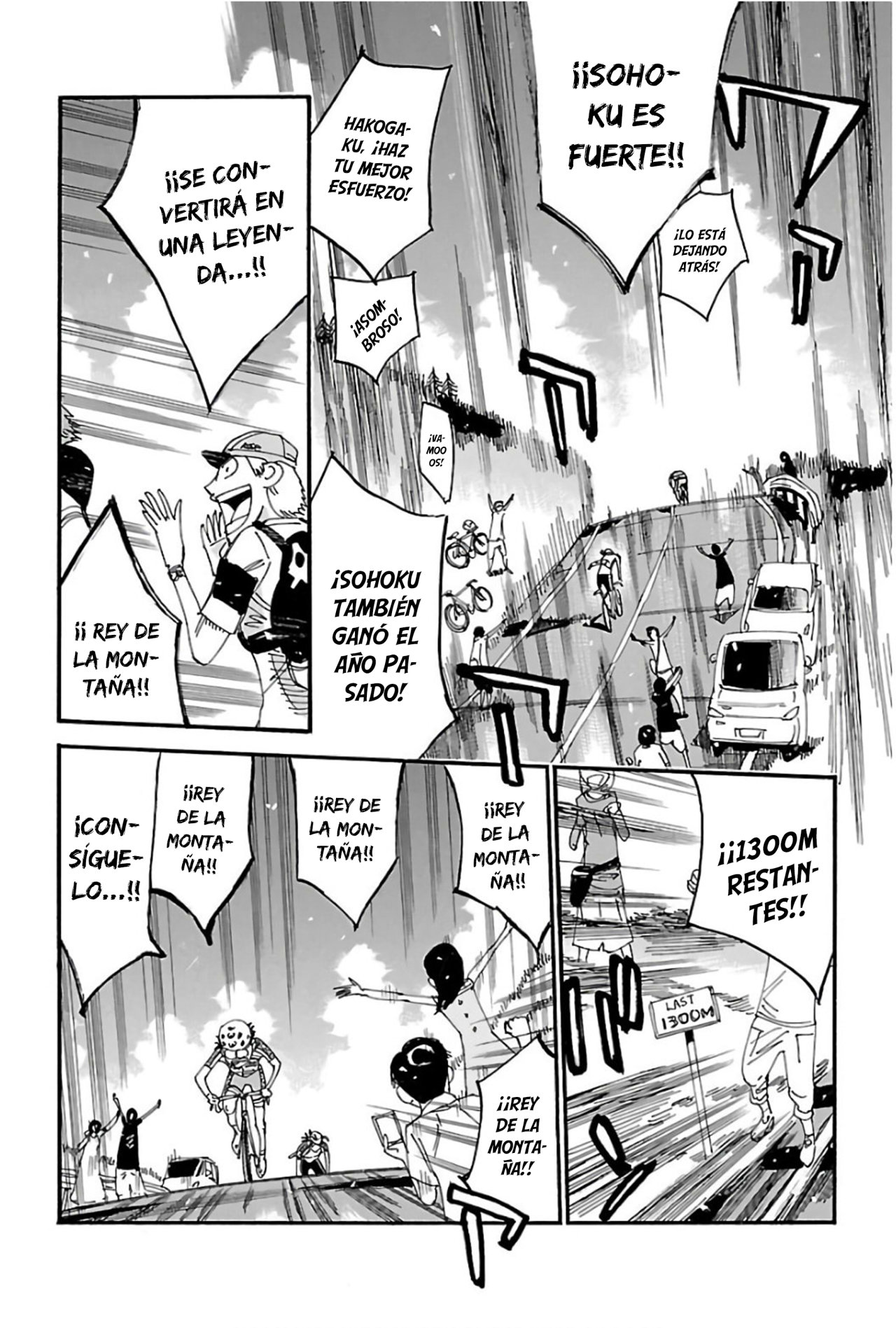 Yowamushi Pedal Capitulo 524: Manami Vuela página 14