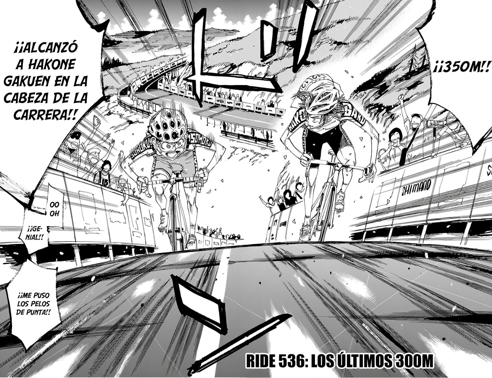 Yowamushi Pedal Capitulo 536: Los últimos 300M página 10