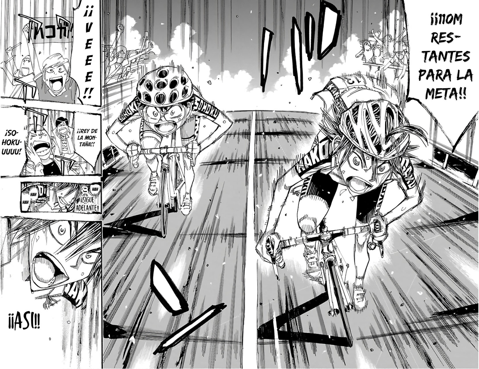 Yowamushi Pedal Capitulo 538: Pendiente página 14