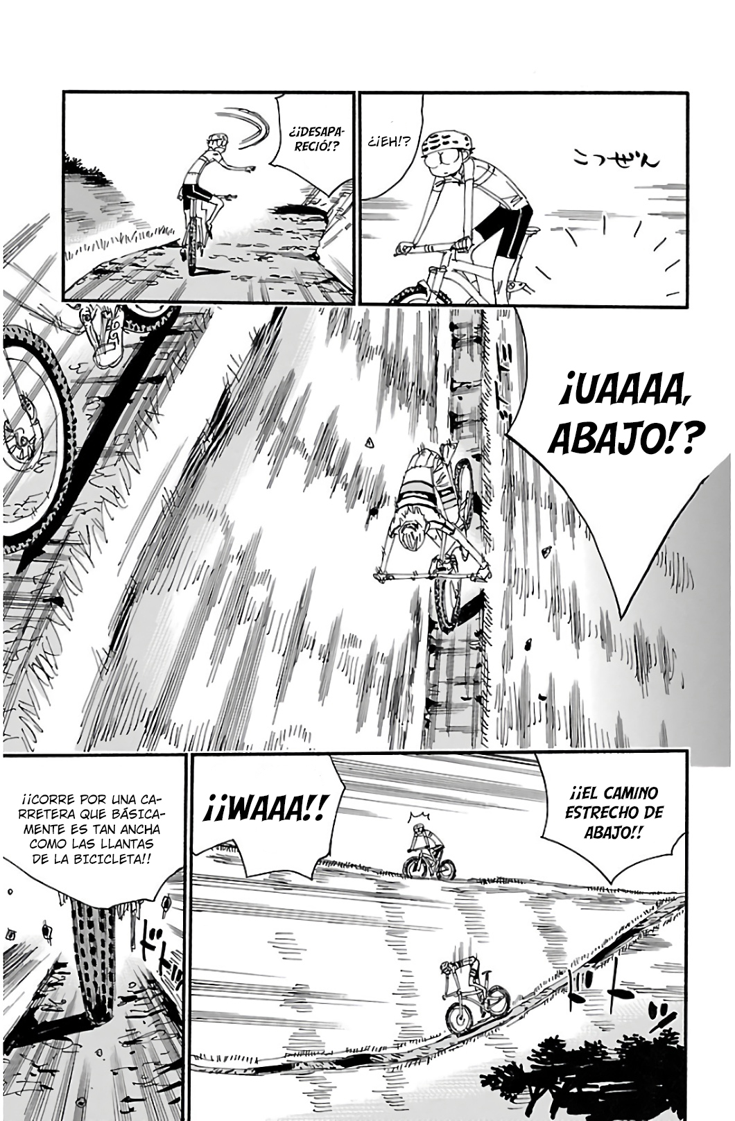 Yowamushi Pedal Capitulo 552: Elevando la cadencia página 13