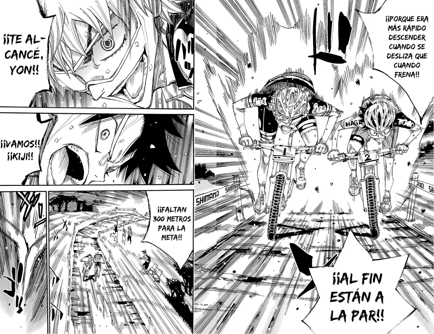 Yowamushi Pedal Capitulo 575: ¡¡¡La actuación de Kiji!!! página 10