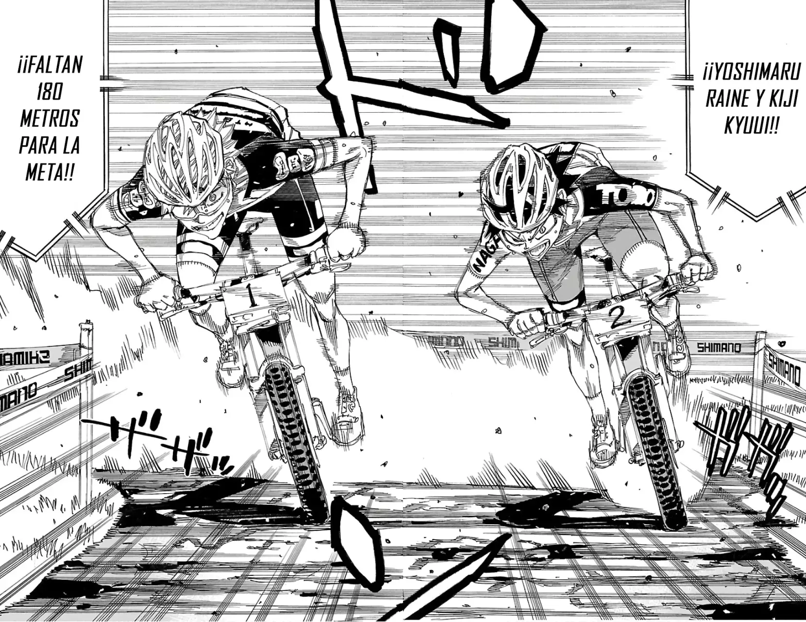 Yowamushi Pedal Capitulo 576: Última recta página 8