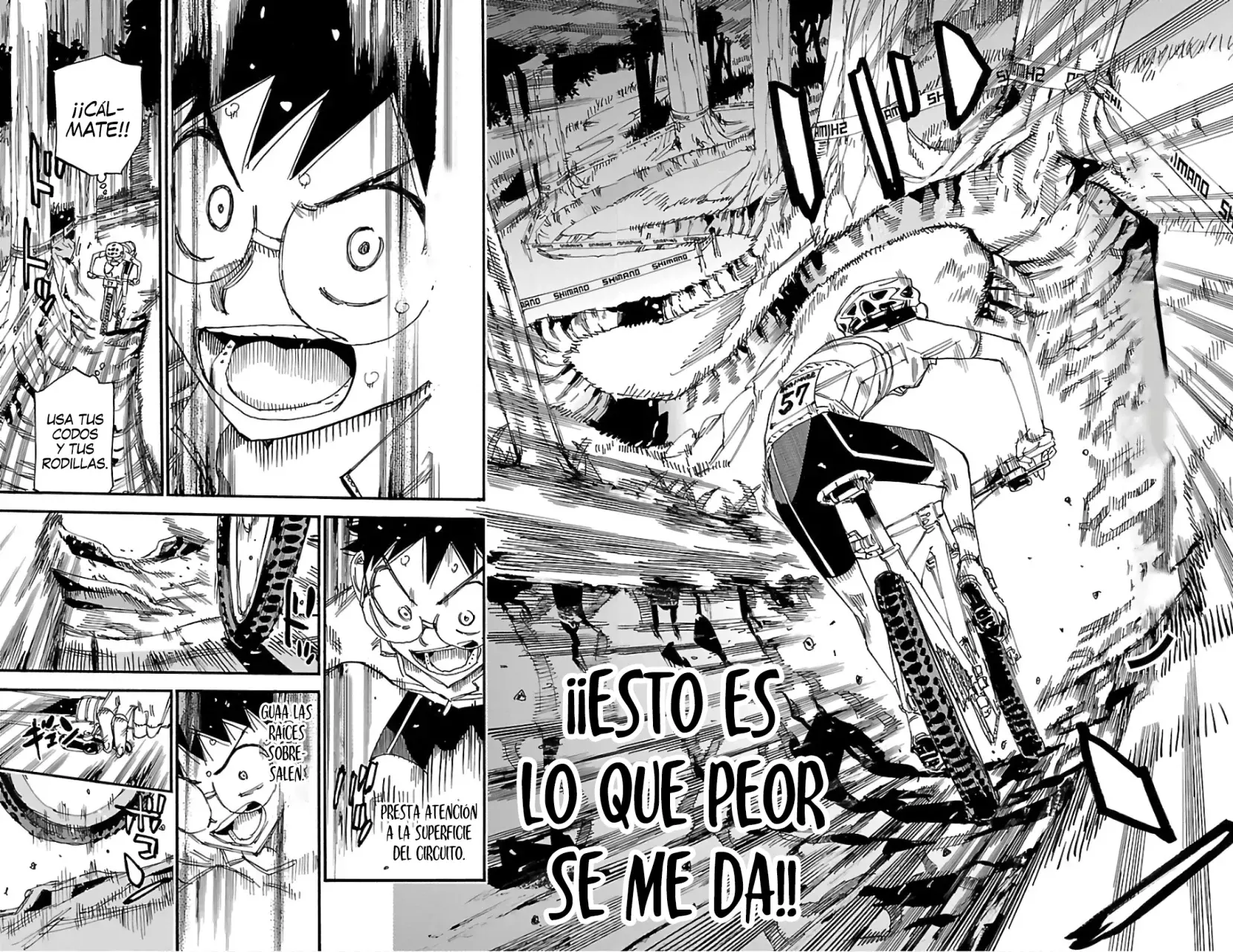 Yowamushi Pedal Capitulo 583: Poder de superación página 12