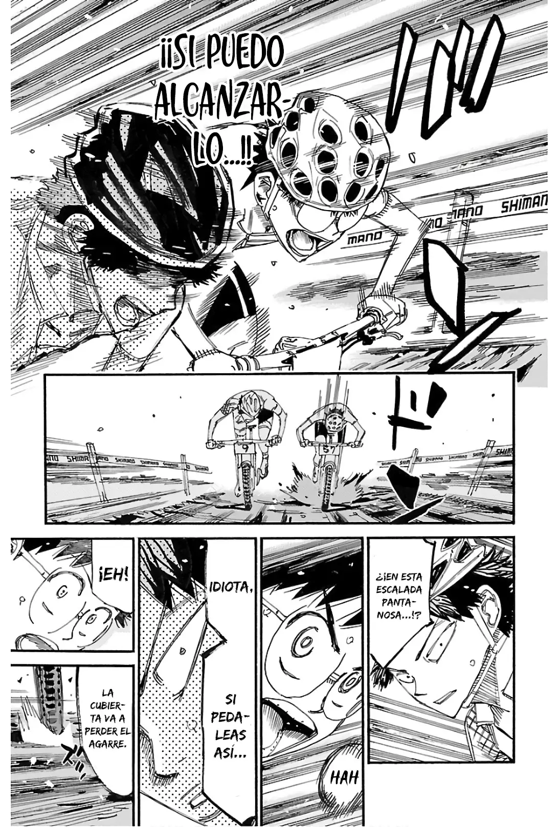Yowamushi Pedal Capitulo 587: El fruto de la victoria página 12