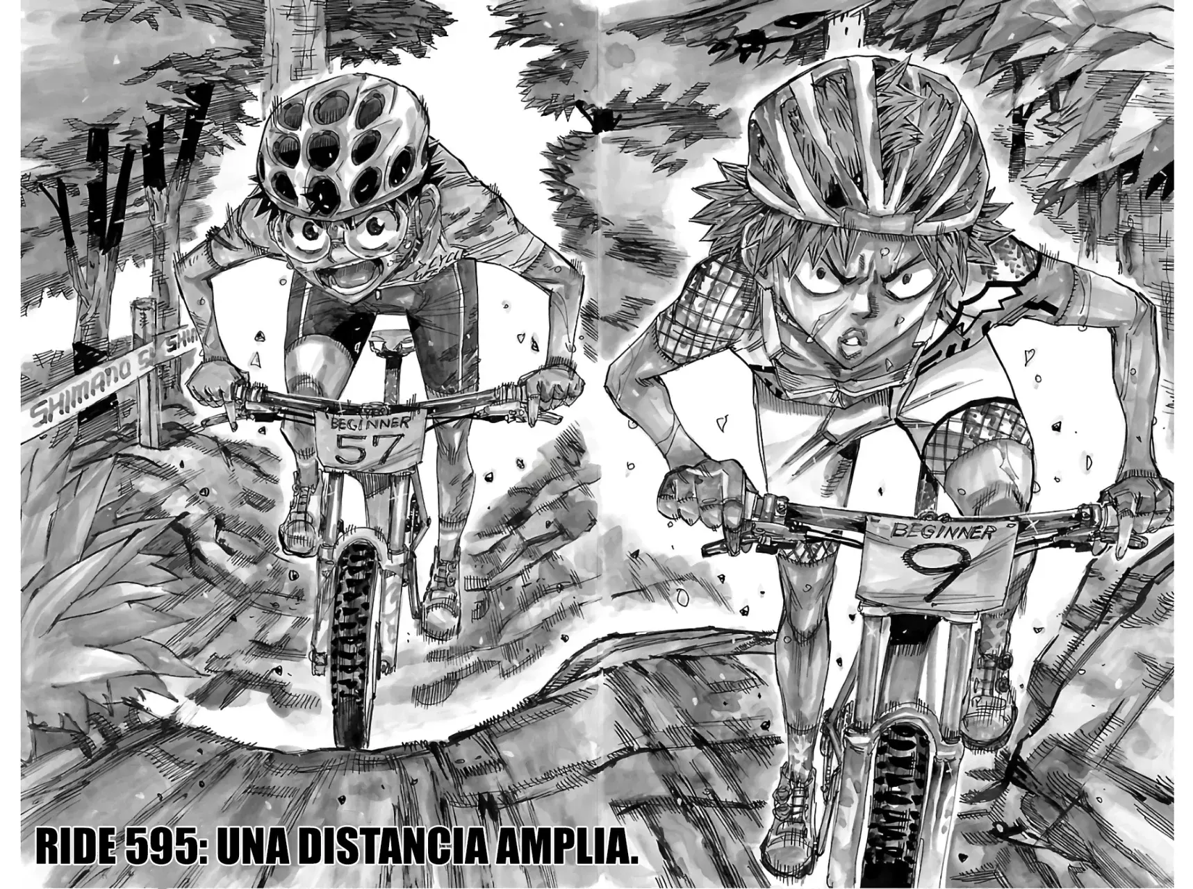 Yowamushi Pedal Capitulo 595: Una brecha suficiente. página 5