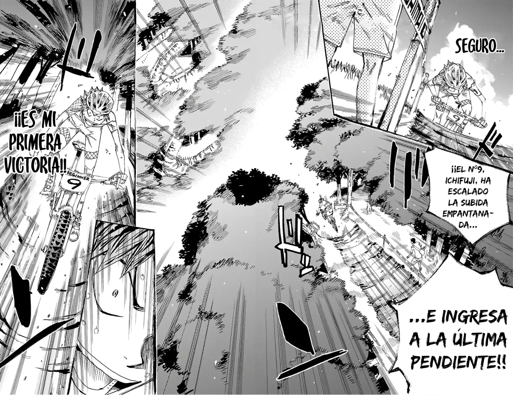 Yowamushi Pedal Capitulo 596: La última etapa página 11
