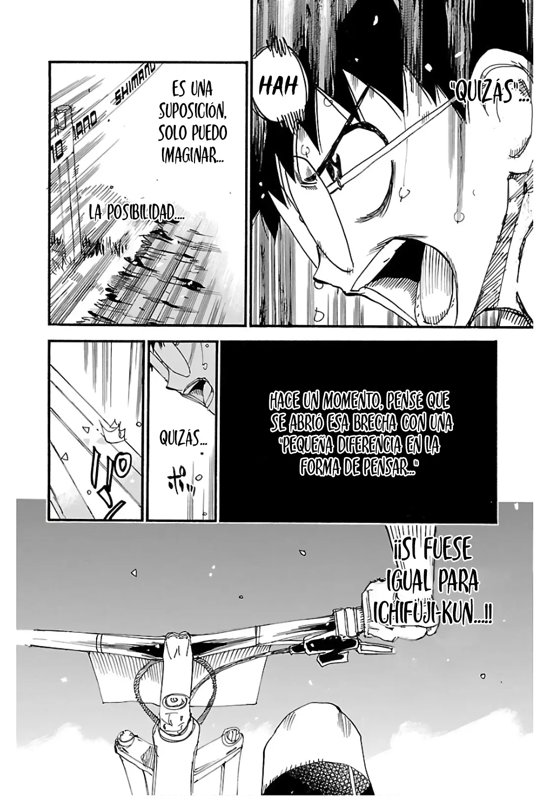 Yowamushi Pedal Capitulo 596: La última etapa página 14