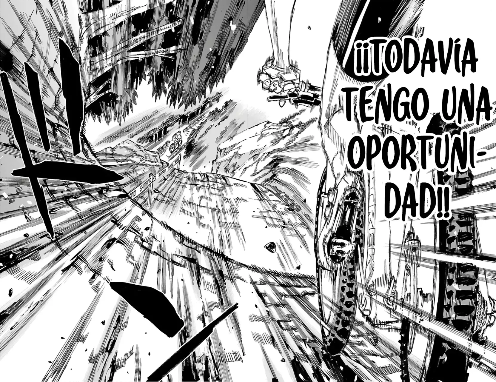Yowamushi Pedal Capitulo 596: La última etapa página 17