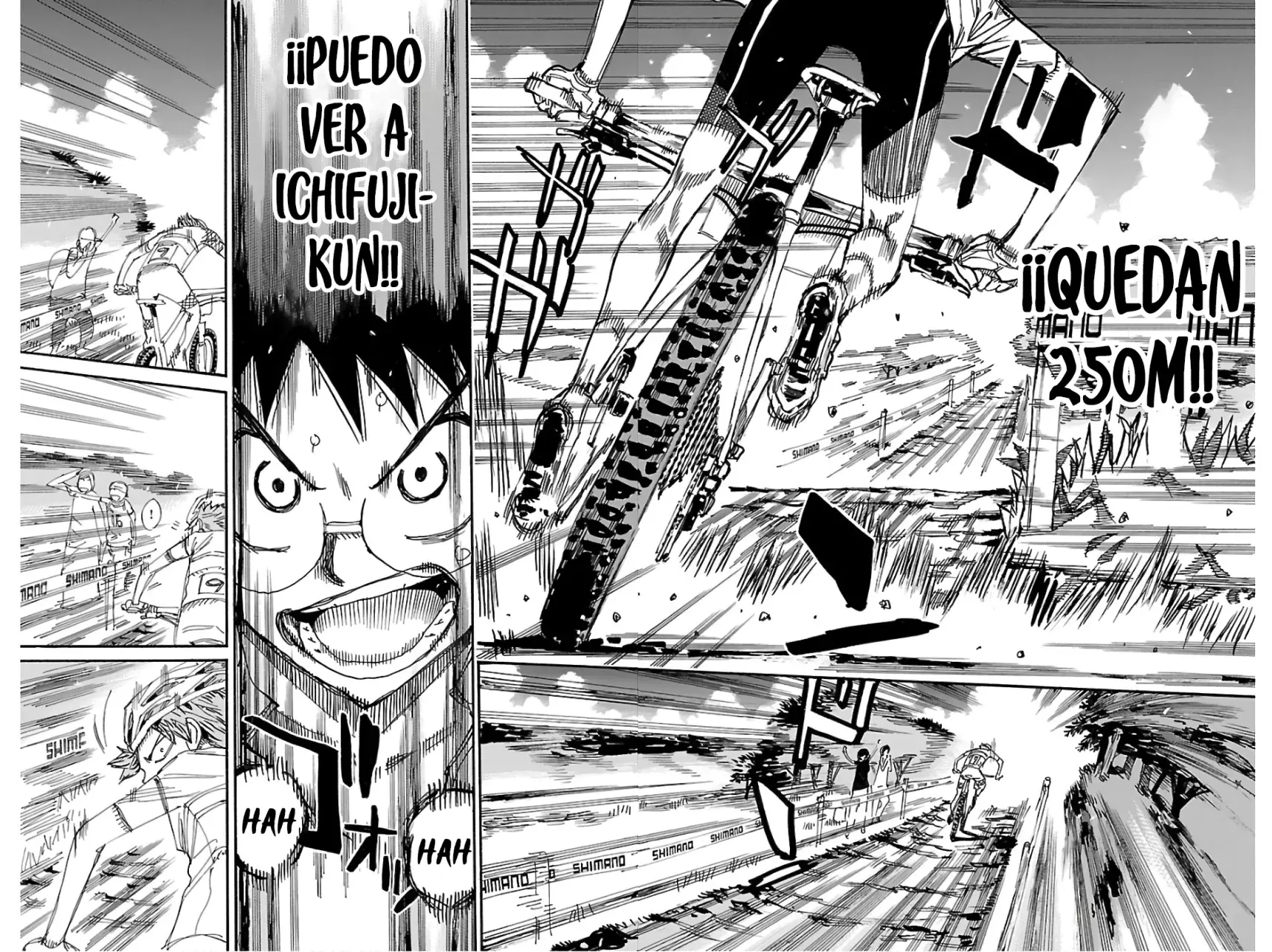 Yowamushi Pedal Capitulo 597: La etapa sin nombre página 8