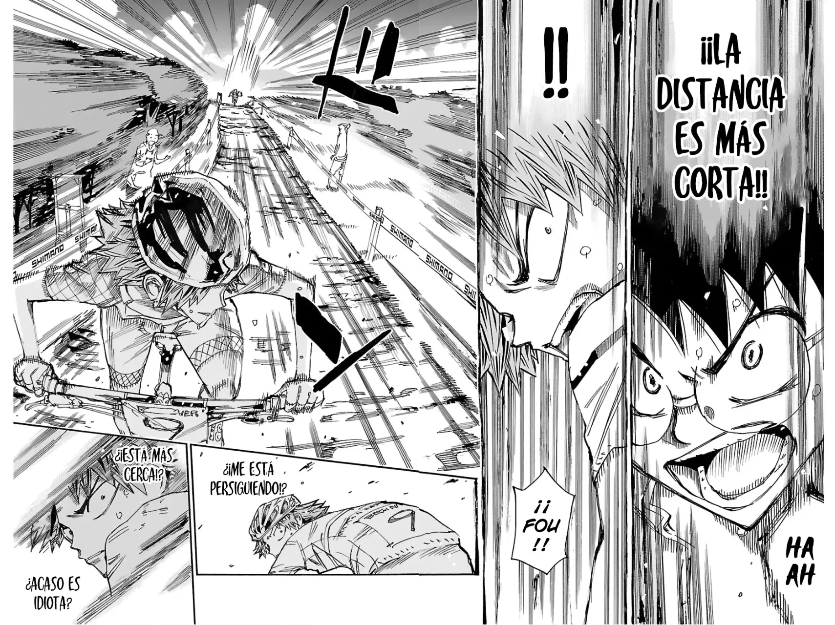 Yowamushi Pedal Capitulo 597: La etapa sin nombre página 9
