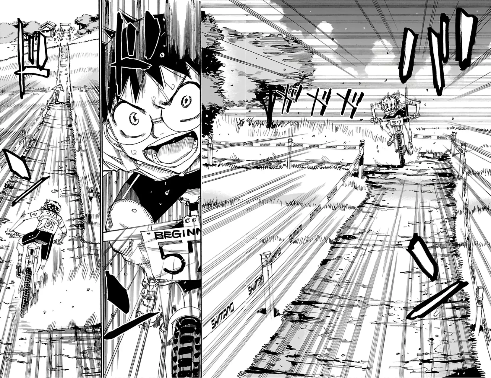 Yowamushi Pedal Capitulo 598: Dos personas a la vista página 11