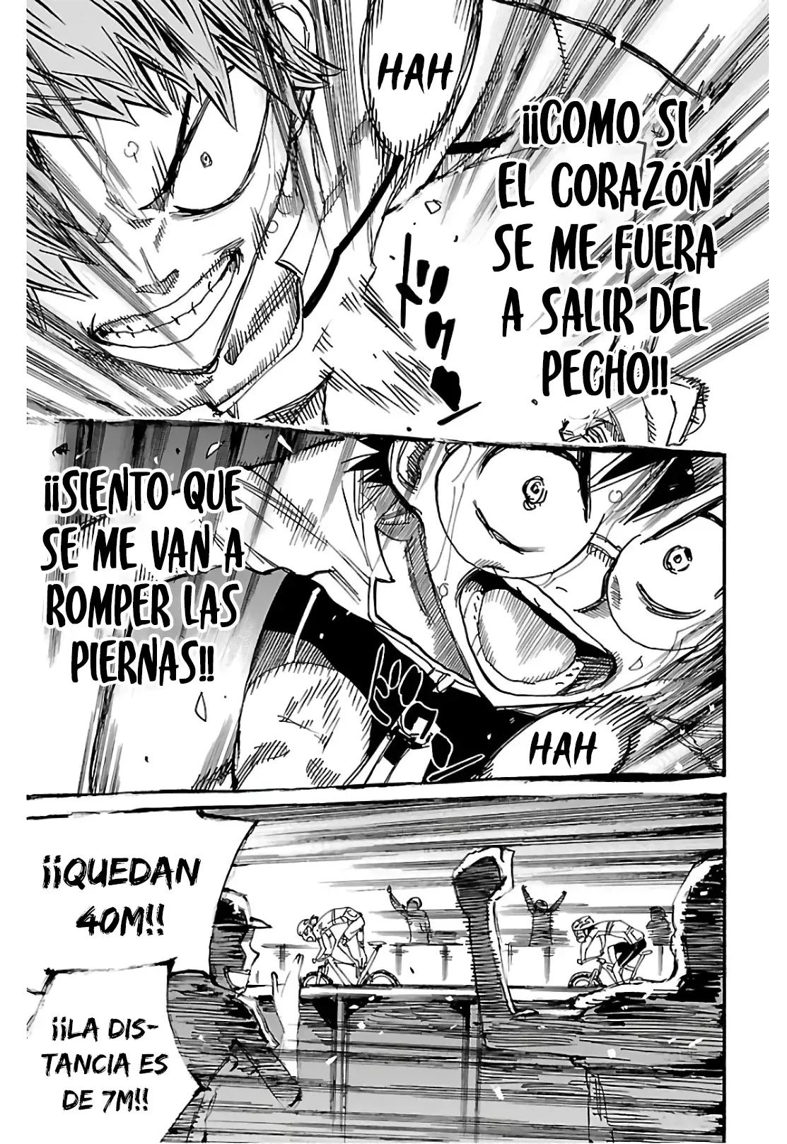 Yowamushi Pedal Capitulo 600: ¡¡Ruedas saltando hacia la línea de meta!! página 12