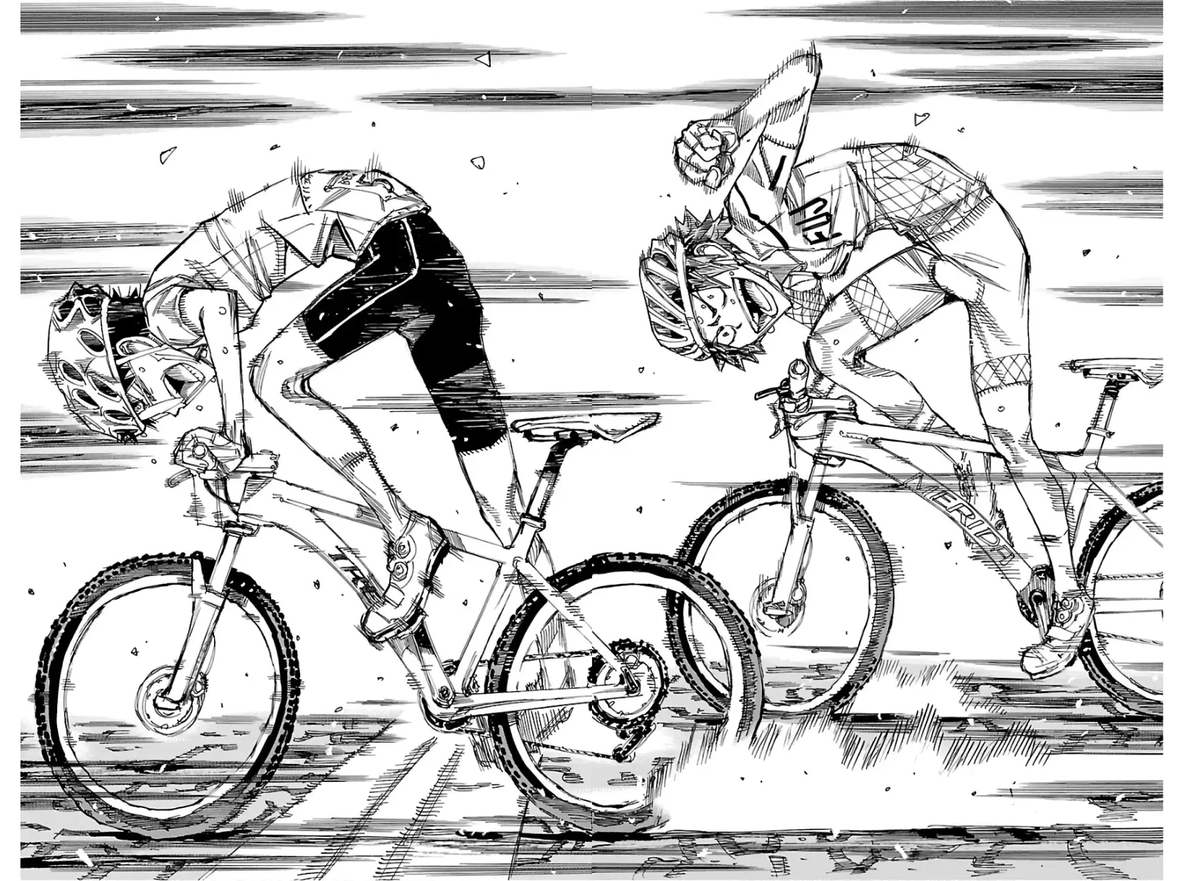 Yowamushi Pedal Capitulo 600: ¡¡Ruedas saltando hacia la línea de meta!! página 26