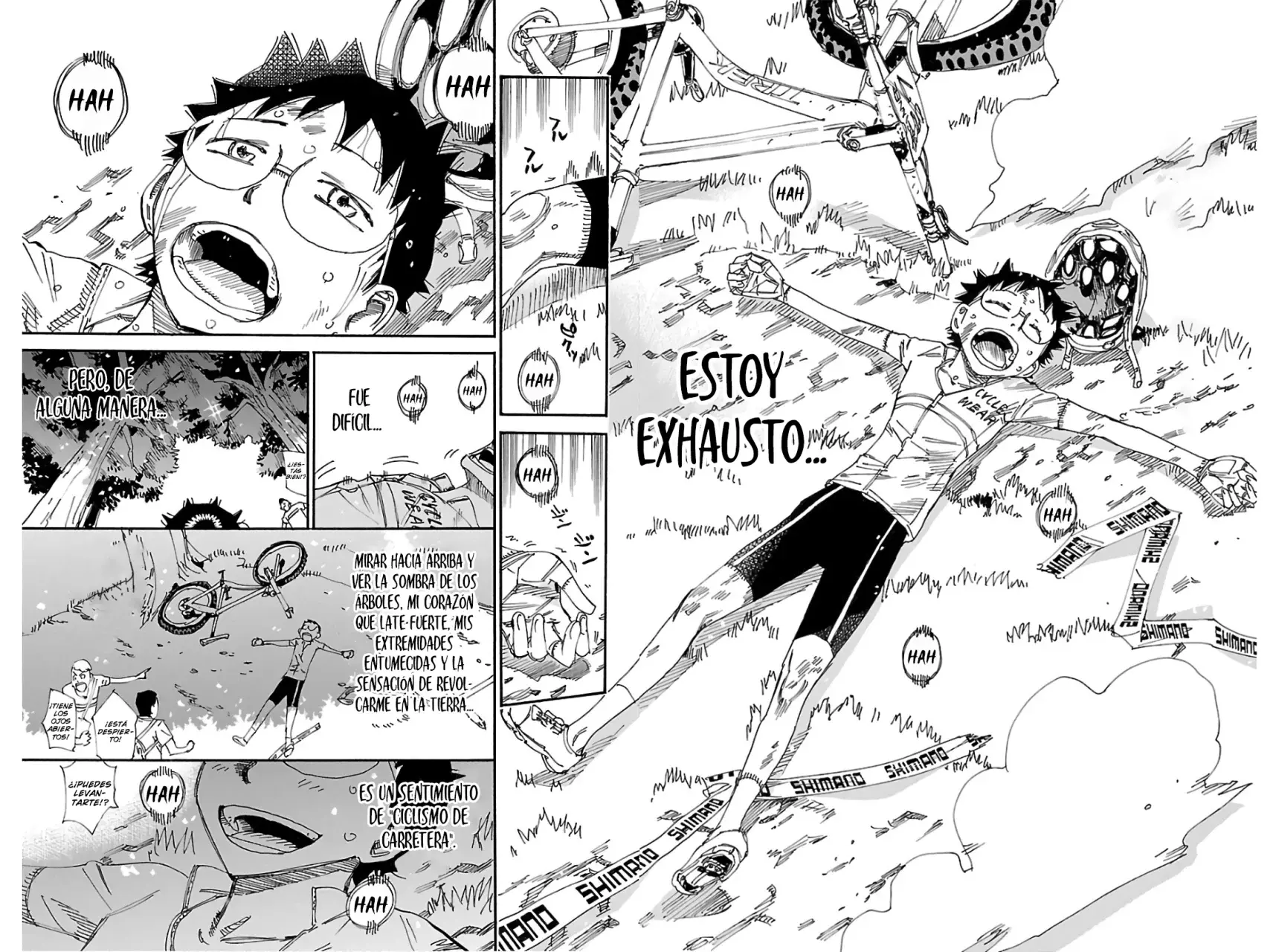 Yowamushi Pedal Capitulo 601: Contemplando el cielo azul página 9