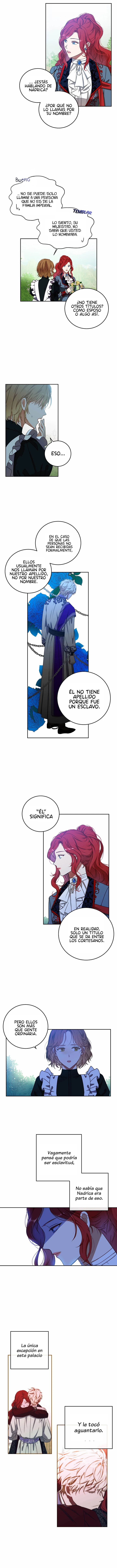 Parece que me encuentro en el mundo de un juego de harem inverso Capitulo 13 página 4