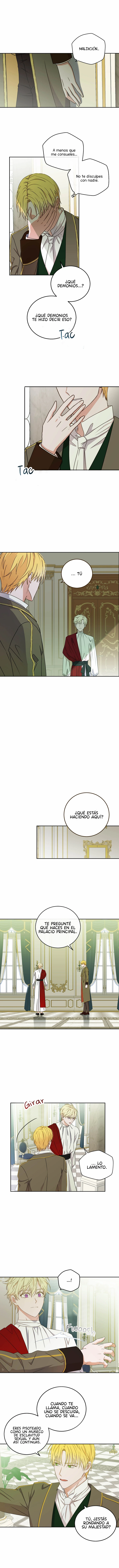 Parece que me encuentro en el mundo de un juego de harem inverso Capitulo 14 página 6