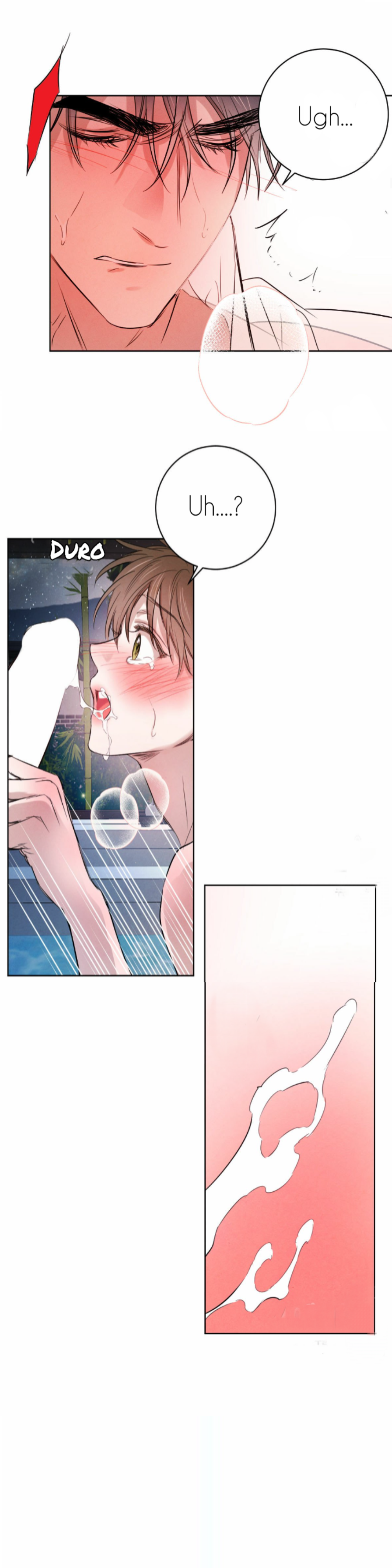 Romance bajo el sauce Capitulo 32 página 12