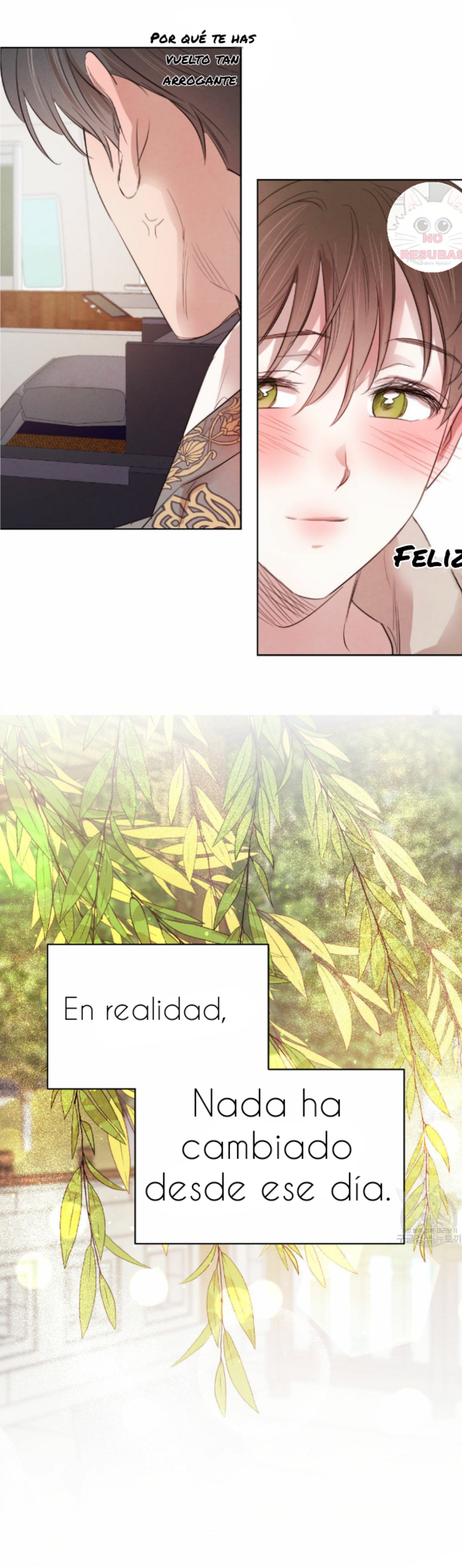 Romance bajo el sauce Capitulo 38 página 14