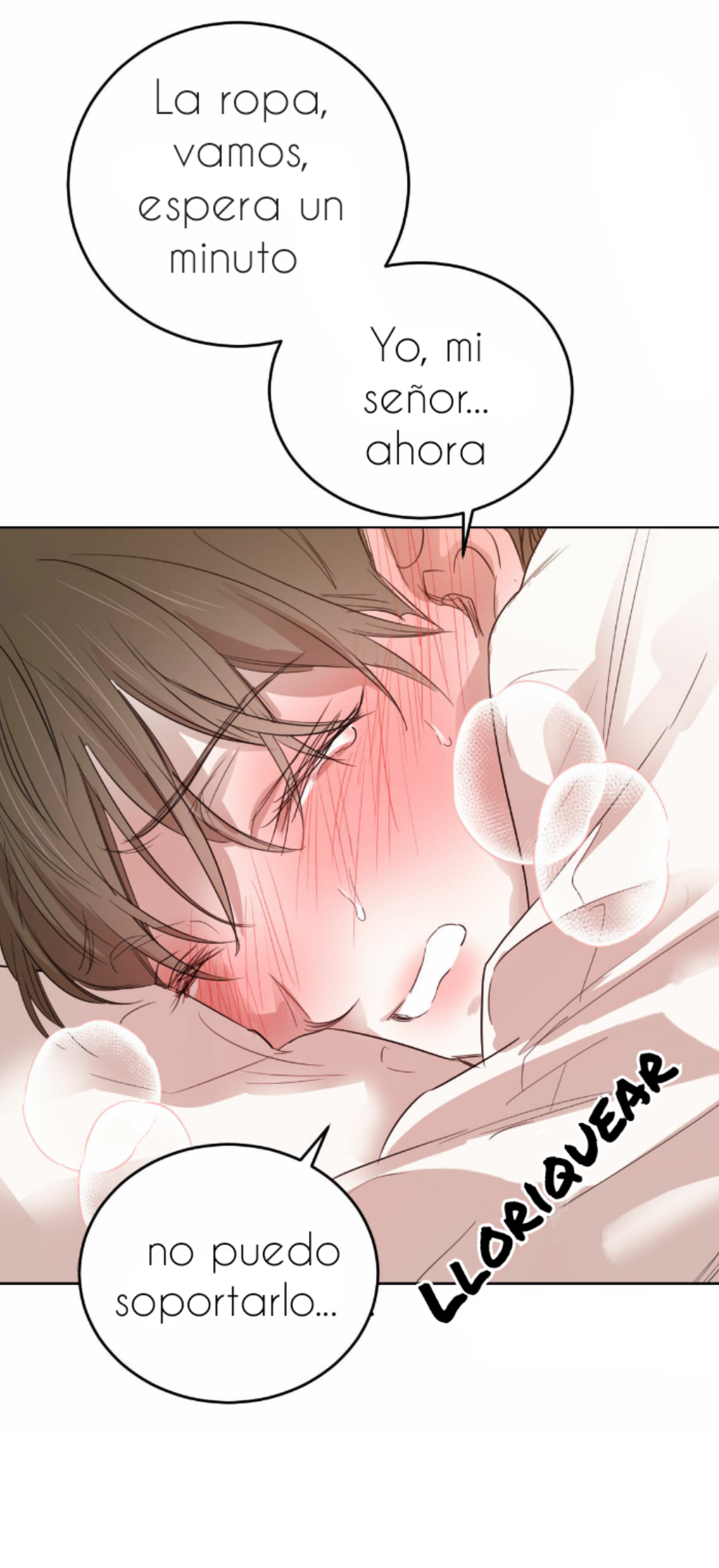 Romance bajo el sauce Capitulo 40 página 15