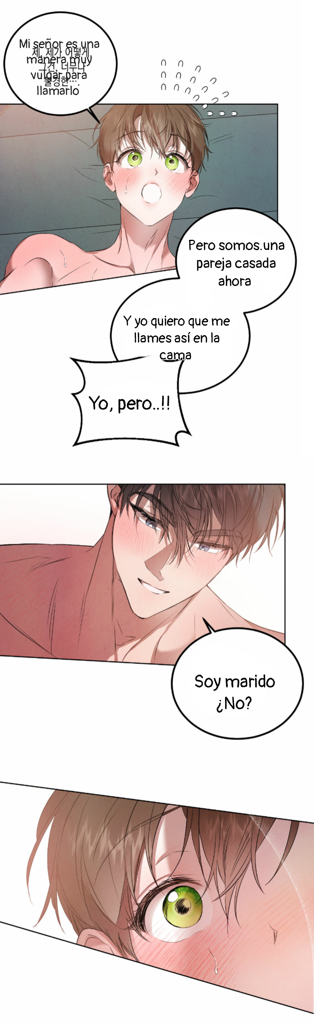 Romance bajo el sauce Capitulo 63 página 11