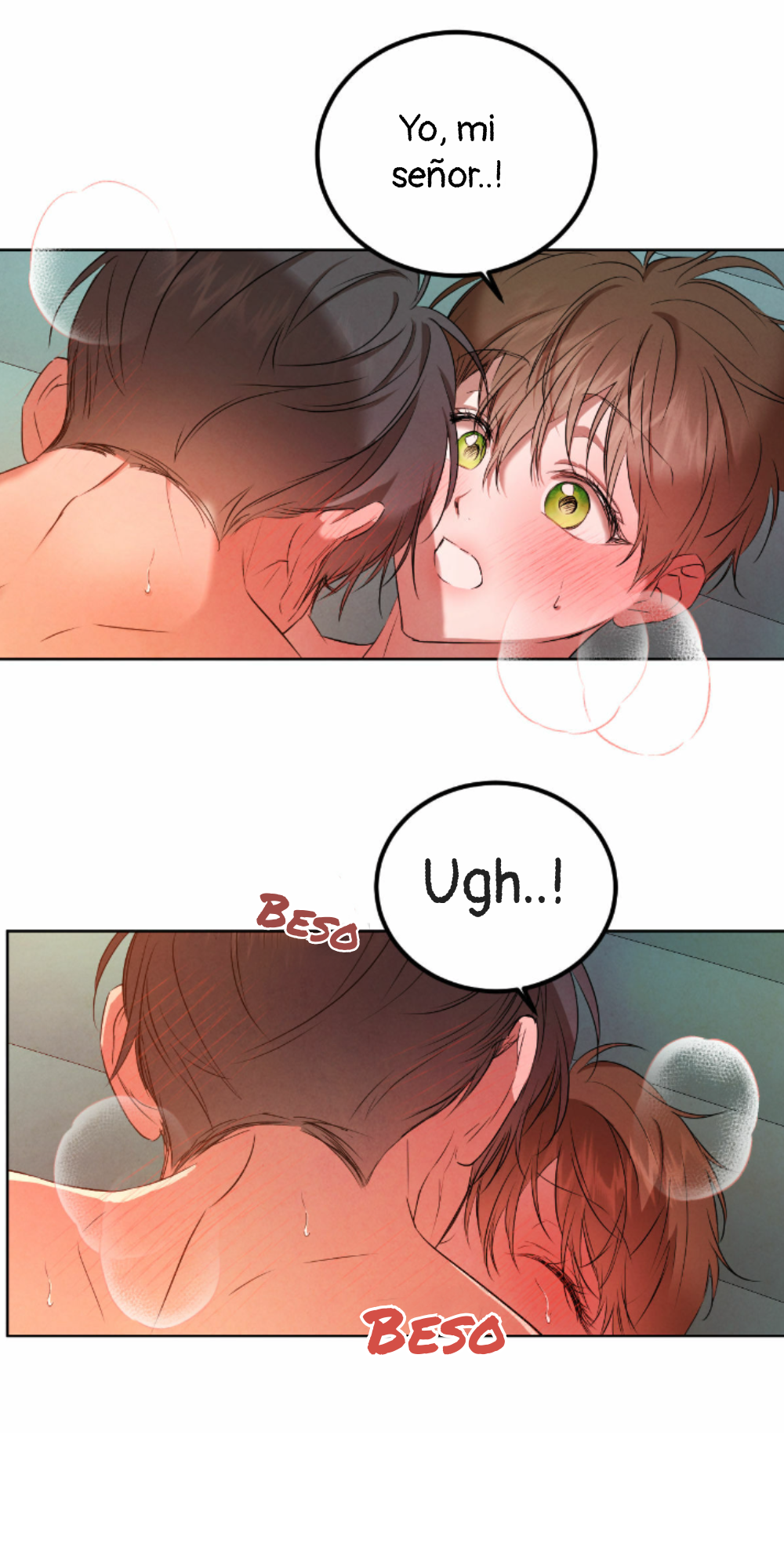 Romance bajo el sauce Capitulo 63 página 14