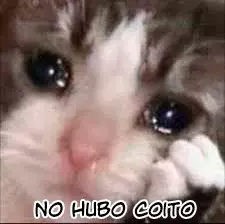 Dungeon Tou de Yadoya o Yarou! Souzou Mahou o Moratta Ore no Hosoude Hanjouki Capitulo 45: no hubo sex página 32
