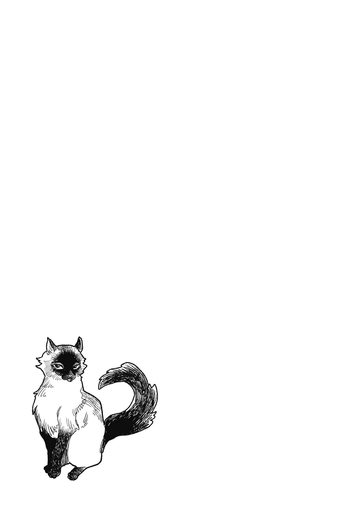 Gokushufudou Capitulo 153.5 página 13