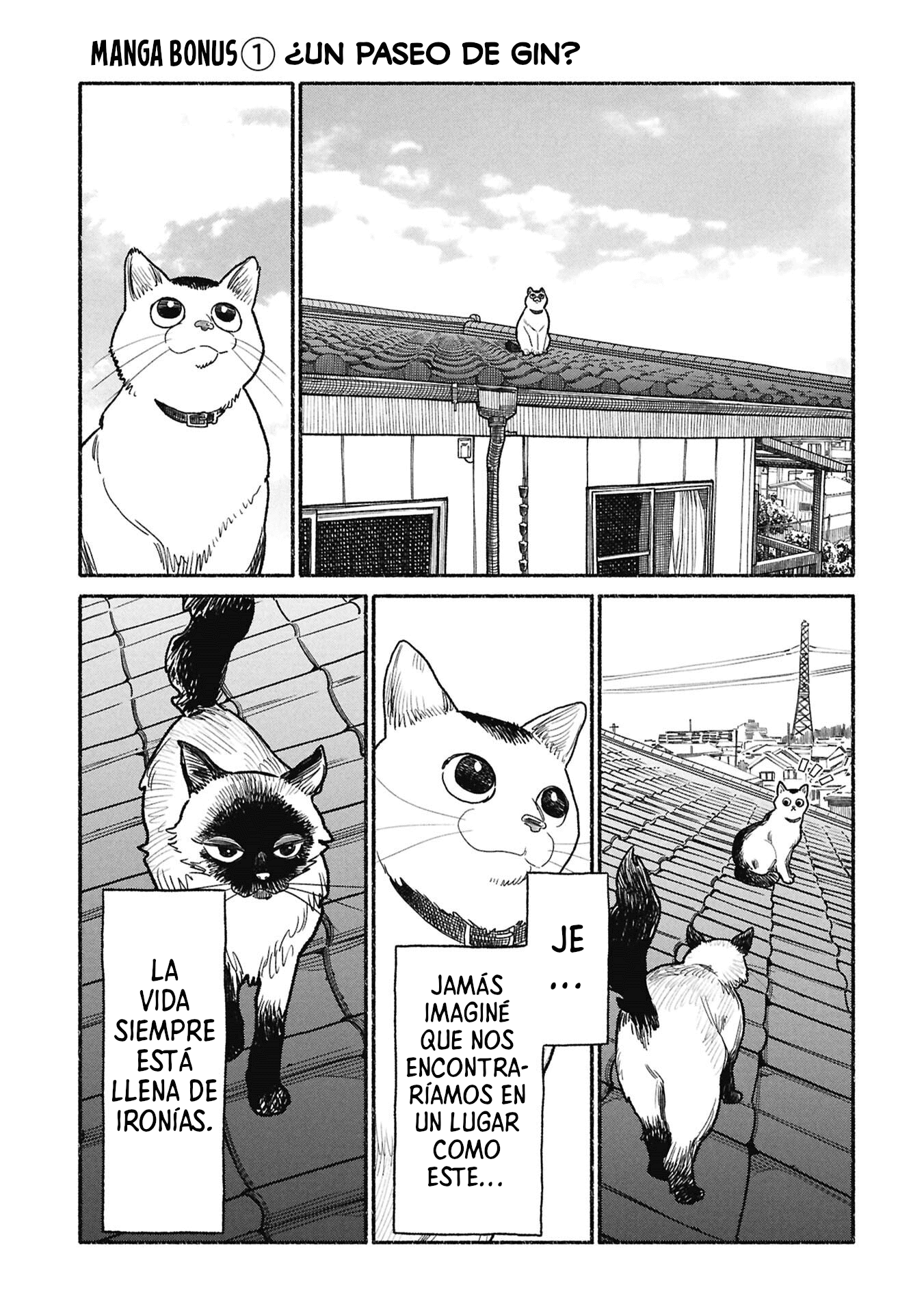 Gokushufudou Capitulo 153.5 página 5