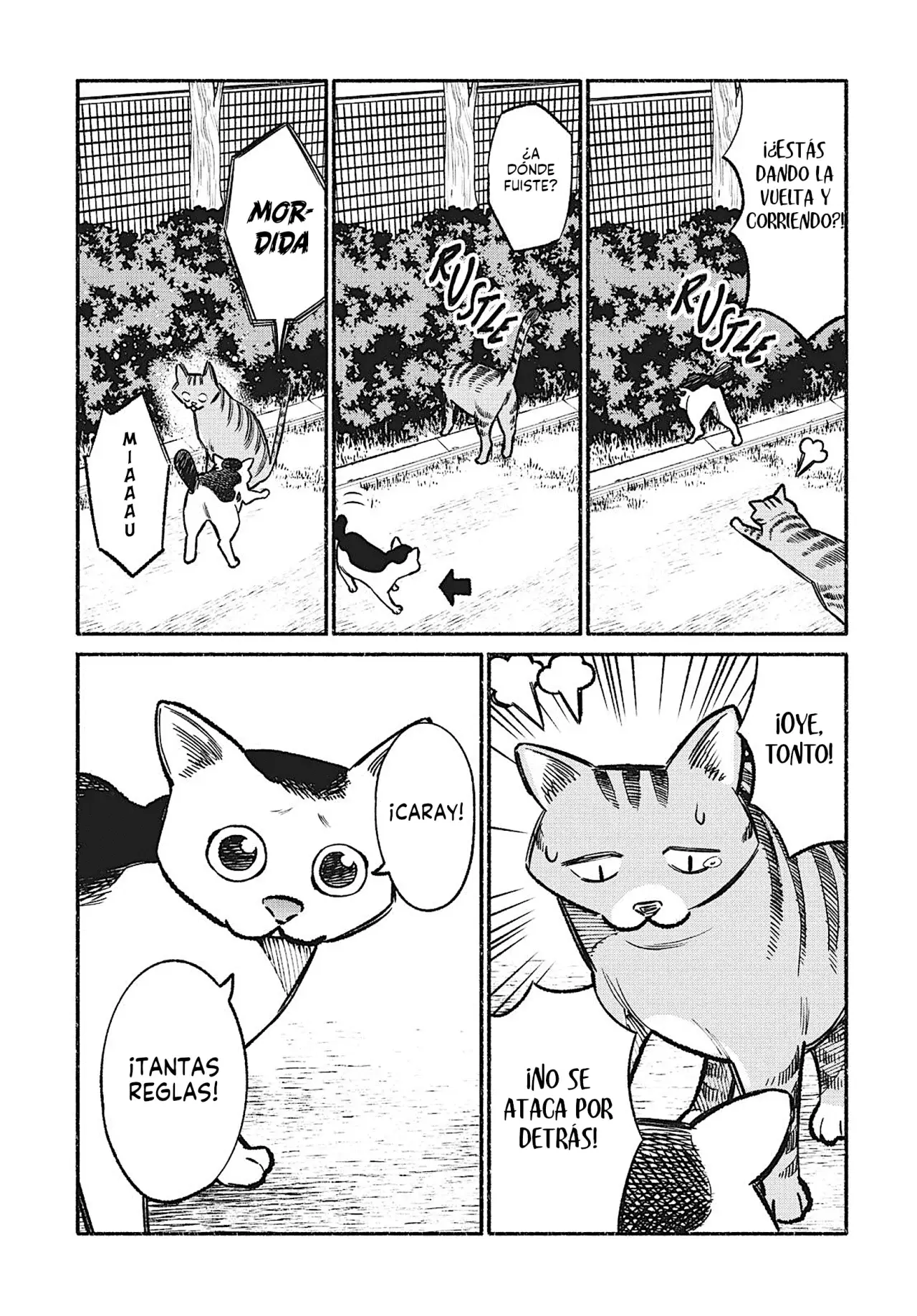 Gokushufudou Capitulo 36.5: Extras del volumen 4 página 20