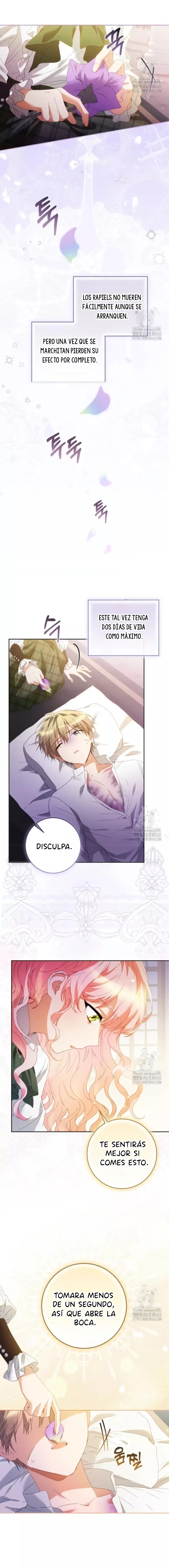 Me convertí en un miserable extra en una historia de sanación Capitulo 6 página 14