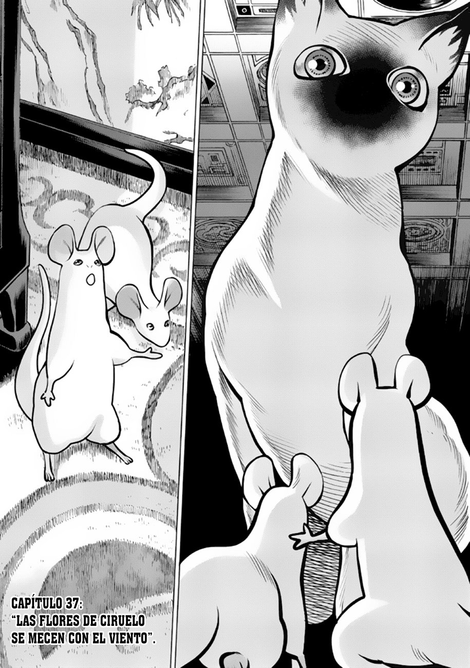 Dance in the Vampire Bund A.S.O Capitulo 37 página 3