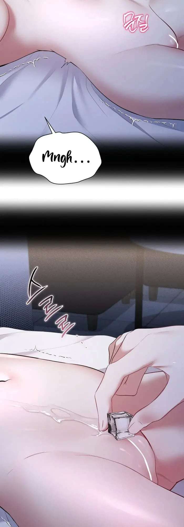 Secret Mode Capitulo 24 página 17