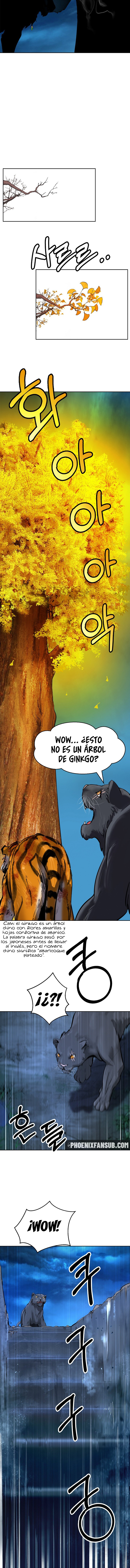 La Historia de la Reencarnación del Tigre Capitulo 14 página 12